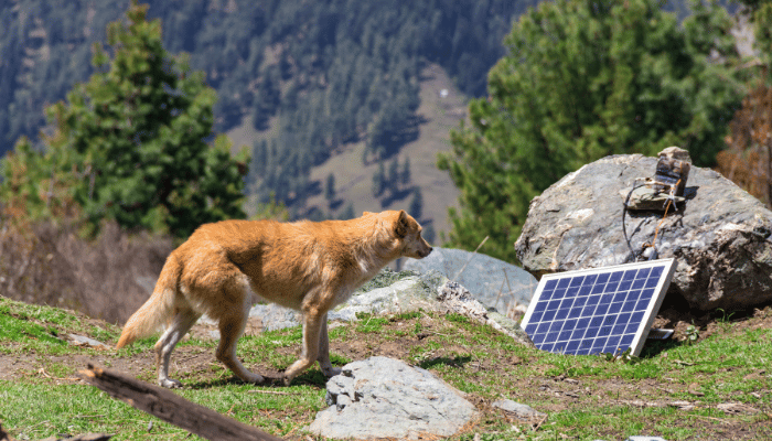 How does solar energy affect the environment